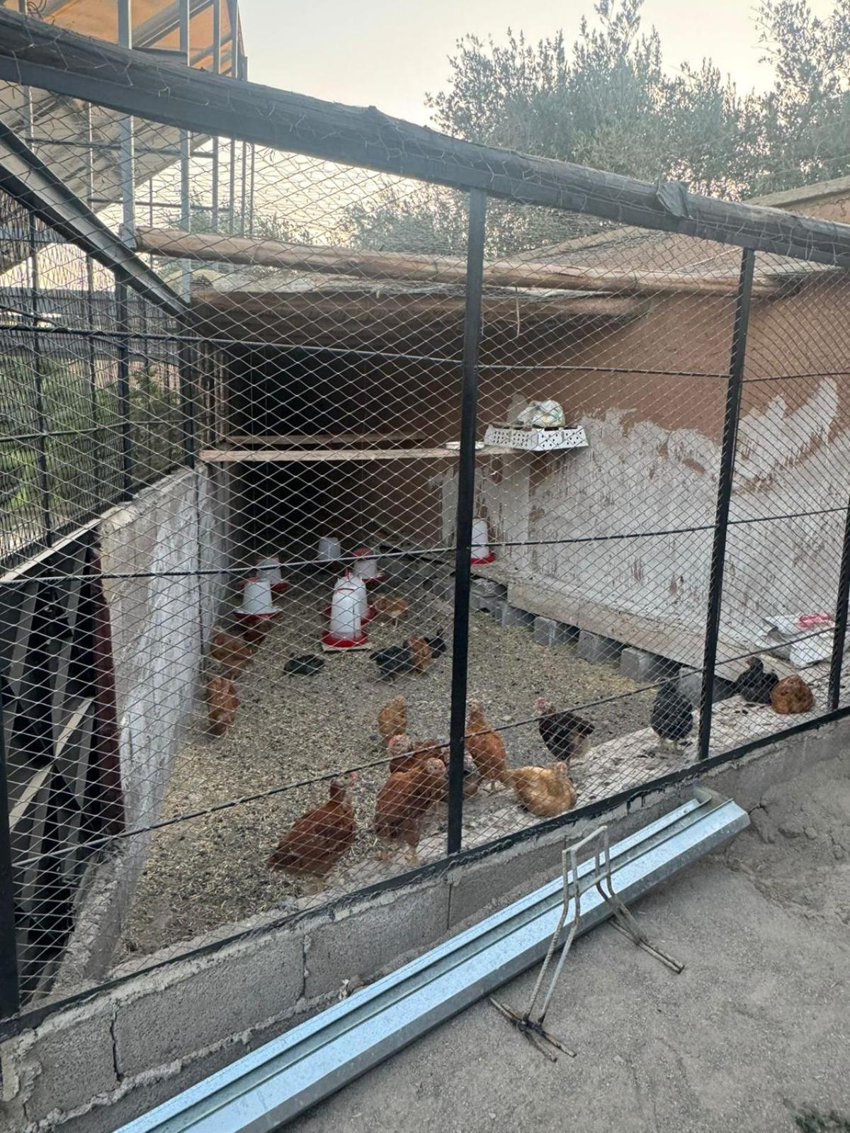מרקש Villa Salah מראה חיצוני תמונה